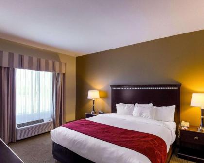 Comfort Suites University Abilene - image 11