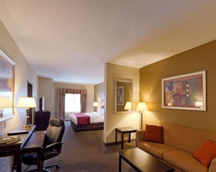 Comfort Suites University Abilene - image 13