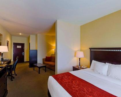 Comfort Suites University Abilene - image 15