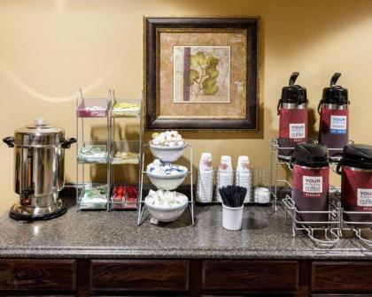 Comfort Suites University Abilene - image 2
