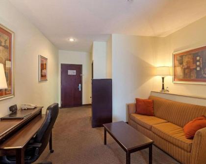Comfort Suites University Abilene - image 6