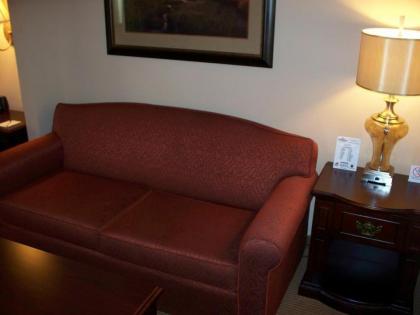 Big Country Hotel & Suites - image 14