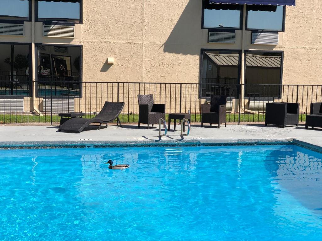 The Inn and Suites at 34 Fifty - main image