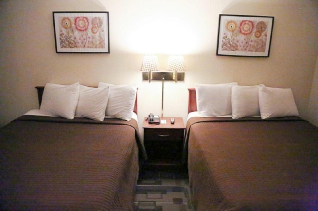 The Inn and Suites at 34 Fifty - image 5