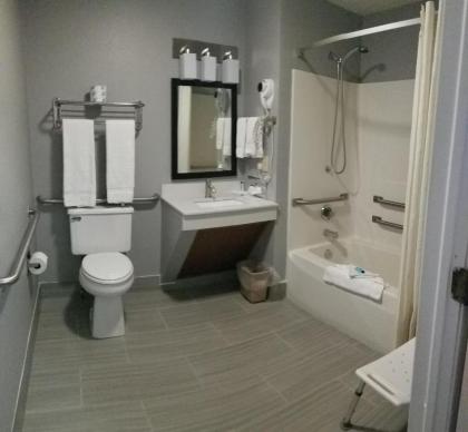Adams Inn and Suites - image 4