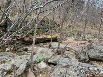 Tentrr - Flowing Brook Signature Site - image 7
