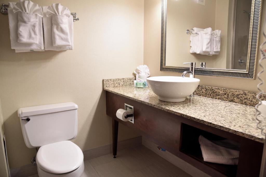 Holiday Inn Akron-West an IHG Hotel - image 4