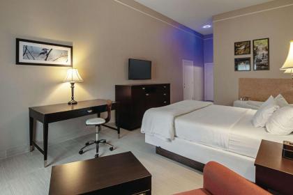 La Quinta by Wyndham Alamo-McAllen East - image 5