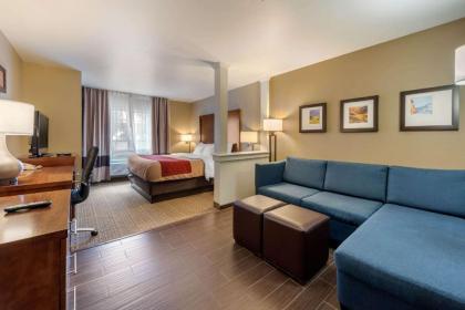 Comfort Inn & Suites Alamosa - image 13