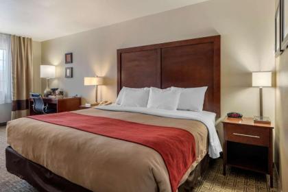 Comfort Inn & Suites Alamosa - image 15