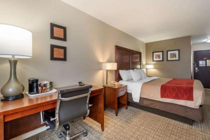 Comfort Inn & Suites Alamosa - image 5