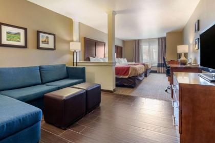 Comfort Inn & Suites Alamosa - image 8