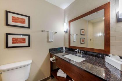 Comfort Inn & Suites Alamosa - image 9