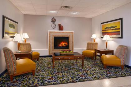 Holiday Inn Express Hotel & Suites Alamosa an IHG Hotel - image 3