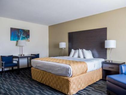 Best Western Alamosa Inn - image 3