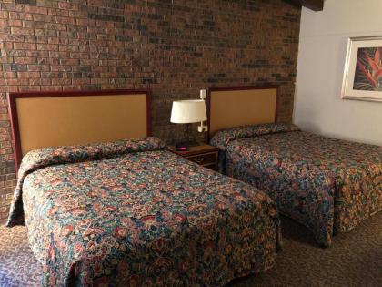 Dunes Inn Alamosa - image 10