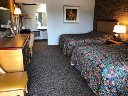 Dunes Inn Alamosa - image 4
