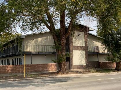 Bell & Main Studios 206 - image 4