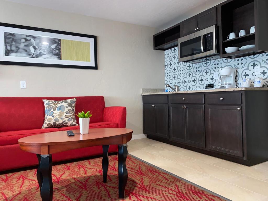 Bell & Main Studios 202 - image 3