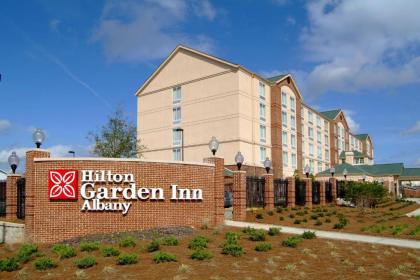 Hilton Garden Inn Albany - image 3