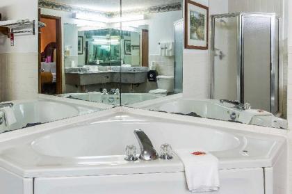 Econo Lodge Inn & Suites - image 4