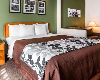 Sleep Inn & Suites Albemarle - image 11