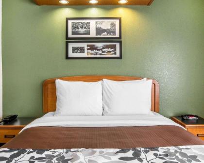 Sleep Inn & Suites Albemarle - image 2