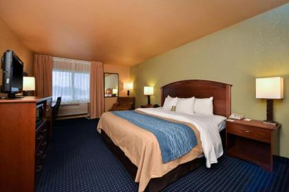 Comfort Inn Albert Lea - image 14