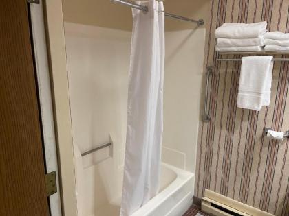 Dollinger's Motor Inn - image 3