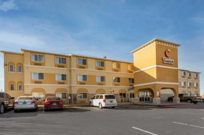 Comfort Inn & Suites Alameda at Albuquerque Balloon Fiesta Park - image 2