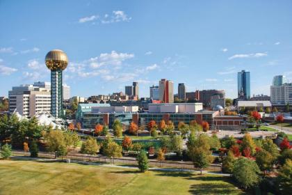 Holiday Inn Express Hotel & Suites Alcoa Knoxville Airport an IHG Hotel - image 15