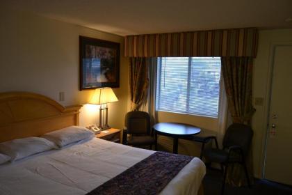 The Ship Motel - image 13
