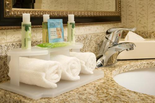 Holiday Inn Express & Suites Alexandria - Fort Belvoir an IHG Hotel - image 4