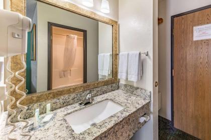 Quality Inn Allen - Plano East - image 8