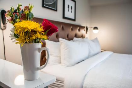 Four Points by Sheraton Allentown Lehigh Valley - image 12