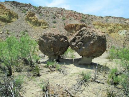 Terlingua Ranch Lodge - image 8