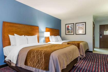 Comfort Inn Alton - image 13