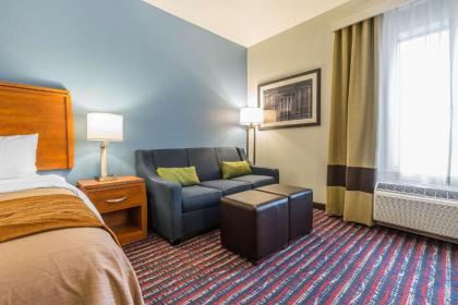 Comfort Inn Alton - image 14