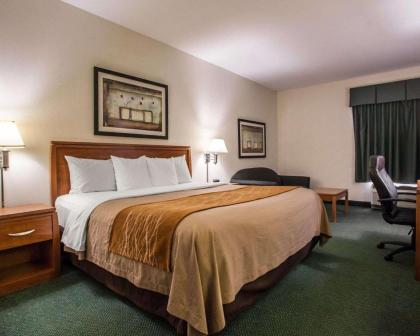 Comfort Inn Alton - image 2