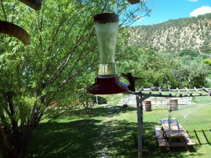 The Wandering Star Inn - image 11