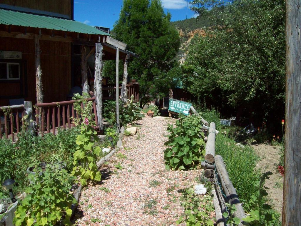The Wandering Star Inn - image 5