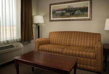 Hampton Inn & Suites Altus - image 7