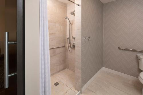 Embassy Suites Amarillo Downtown - image 3