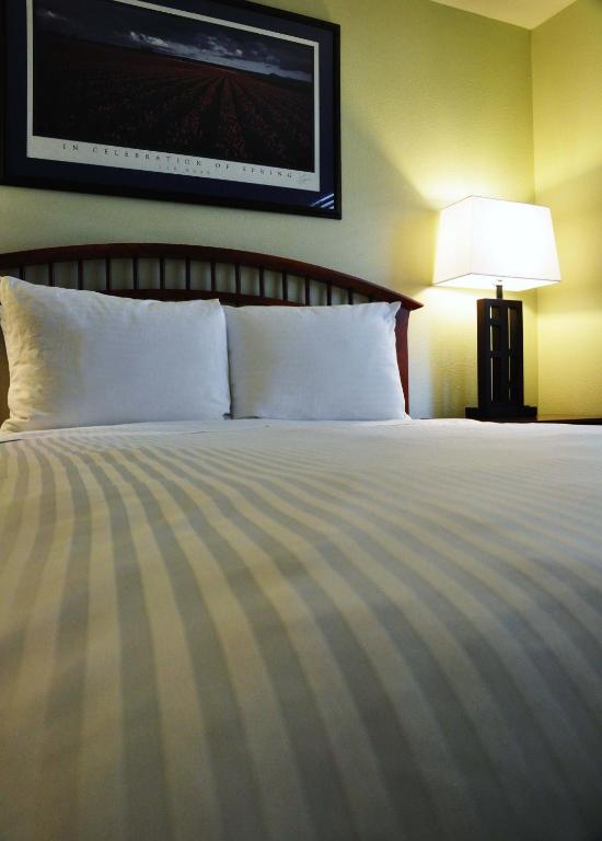 Anacortes Ship Harbor Inn - image 3