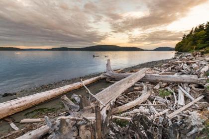 Driftwood Retreat - image 15