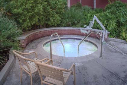 WorldMark Anaheim - image 8