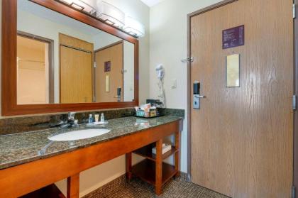 Comfort Inn Anderson South - image 15
