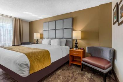 Comfort Inn & Suites - image 11