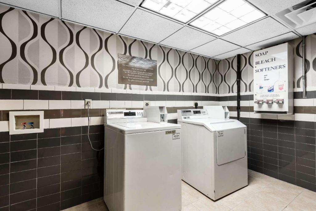 Comfort Inn & Suites - image 3