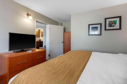 Comfort Inn & Suites - image 4